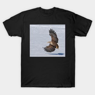 White tailed eagle with beautiful wings T-Shirt